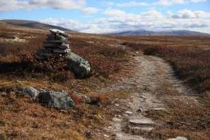 Snøhetta Forollhogna Reinheimen Knutshø Breheimen