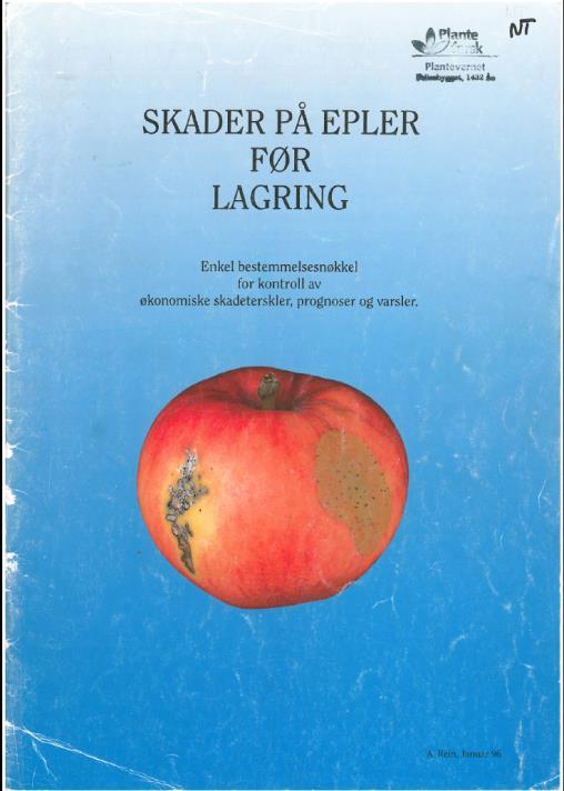 66 6 Tidlig gnag, Frost 5 211 33 70 14 Tidlig gnag, frost, mekanisk 6 312 55 34 35 Tidlig gnag, frost, mekanisk Gautes kommentar før høsting Ok avling, skeivt tre Skeivt tre, lyse blad,