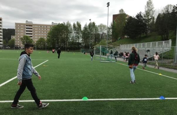 Bruk av uteområdene og Galterudhallen Funnene våre tyder på at de nye eller oppgraderte områdene på Fjell blir mye brukt, og at det er høy tilfredshet både med uteområdene og med Galterudhallen.