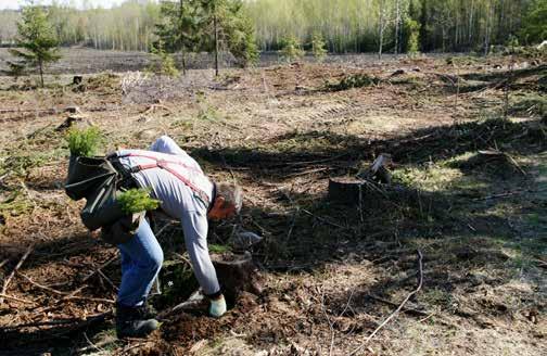 38 FELTHEFTE Det skal plantes eller sås på planlagte