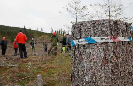 6 FELTHEFTE Skogbrukslederen merker områder der det skal tas