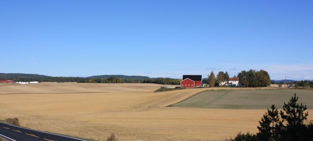 Langs Vorma er det et åpent og bølgende landskap med store gårdstun på hver side av elve- og ravinelandskapet.