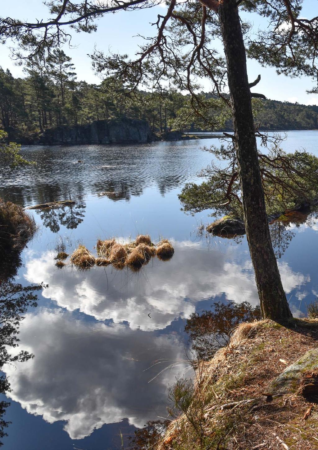 Vi legger også til rette for at stier, sittegrupper, lysløype, sandstrand, rekreasjonsområde med badebrygge, grillplass og sandvolleybane opparbeides i nærområdet.