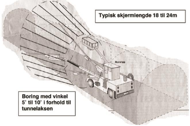 tids- og kostnadsbesparende, men det har sine begrensninger ved mektige svelleleirsoner og ved gjenoppbygging av profilet etter ras. Det mest vanlige er å bruke 6 stk.