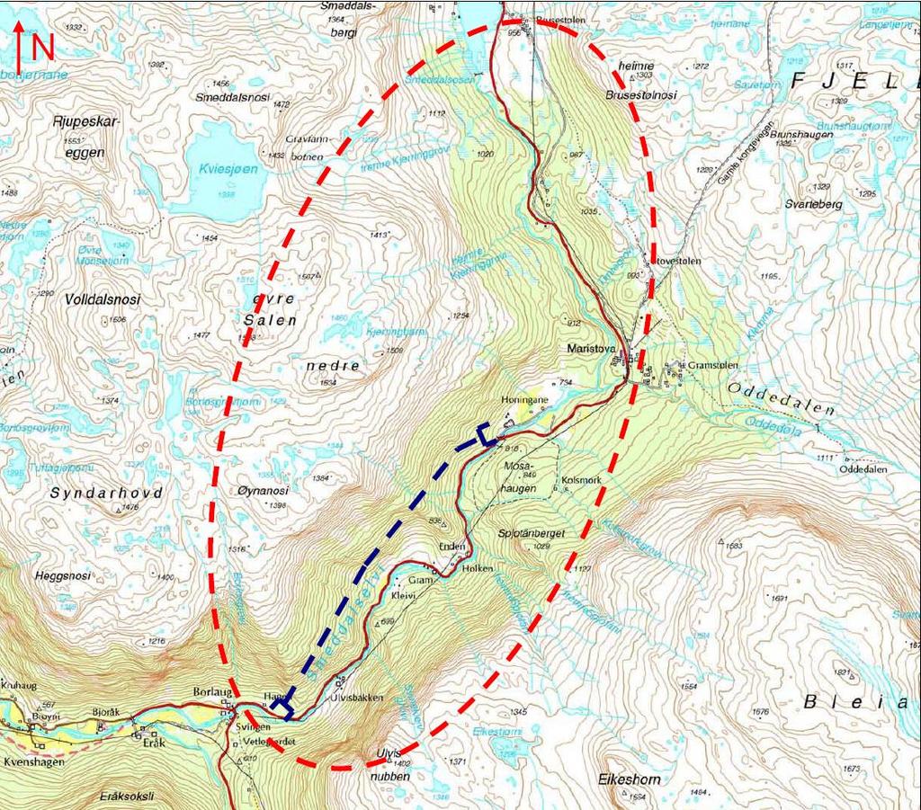 4.4.2 Borlaugstunnelen a. Innledning Tunnelen er en del av et 11 km langt vegprosjektet, mellom Borlaug og Smedalsosen. Den forbedrer strekningen opp Filefjell som ble åpnet i september 214.