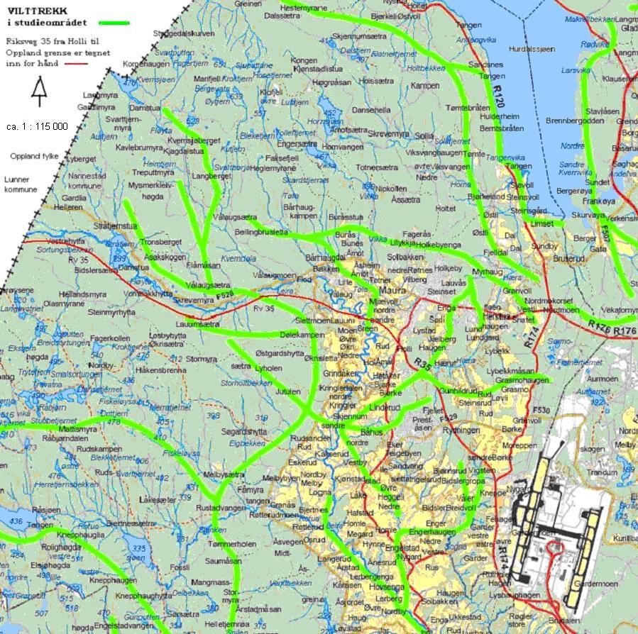 Metode Vegen avskjærer et sammenhengende skogsområde som strekker seg nordover fra Skedsmo, øst for riksveg 4, vest for riksveg 120, langs med Hurdalssjøen og nordover til Totenåsen (Appendiks A, Fig.