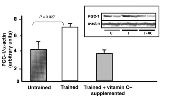 Flere av studiene indikerer en økning i mrna nivåer av PGC-1α og SOD 1 og 2 i gruppene som ikke fikk tilskudd(17,19).