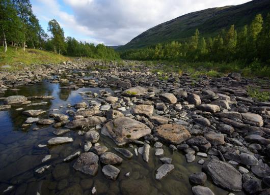 Høringsinnspill regulerte vassdrag Tiltak innenfor eget ansvarsområde inngår med en ambisiøs innretning