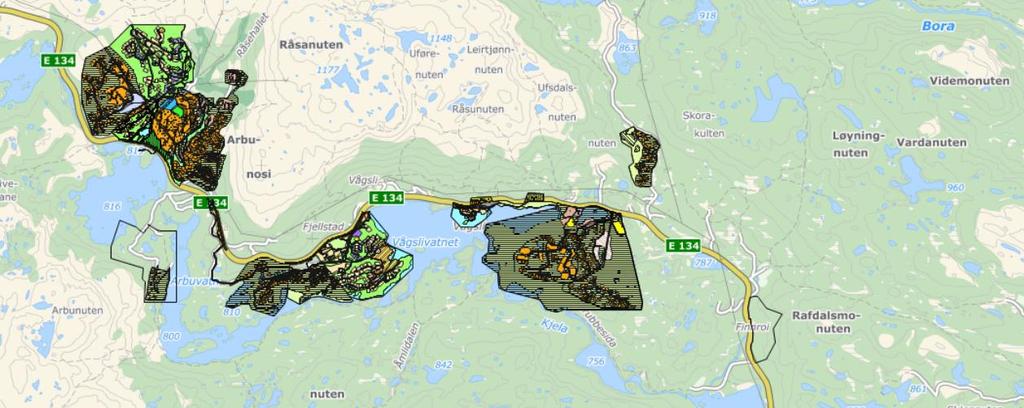 Det er i tillegg gjort følgjande utgreiingar, vist i vedlegga: Skredrapport Kulturhistorisk registrering VA-vurderingar Biologisk kartlegging Planarbeidet tok til i 2008.