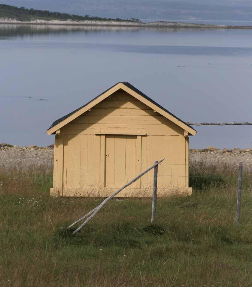 Regionale miljøtilskudd for jordbruket i