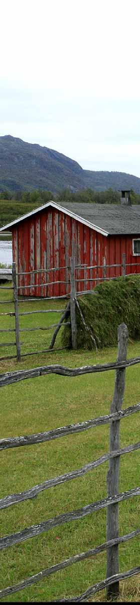 Beitetrykk og beitetidspunkt må tilpasses for å best mulig ivareta kulturminnet og/eller kulturmiljøet. Kr 1 000 per dekar.