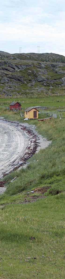 Tilskuddsordninger tilpasset Finnmark et med miljøtilskuddet er å medvirke til et aktivt og bærekraftig landbruk for å kunne ivareta viktige miljø- og kulturlandskapsverdier i fylket.