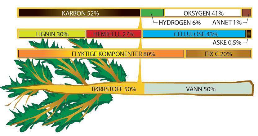 Hva er