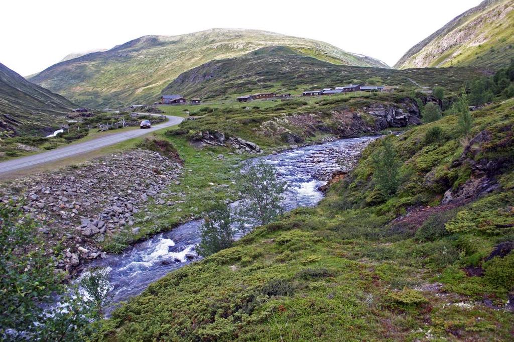 Ferskvann Punktet faller i innsjø, tjern, vannpytt, elv, bekk, kanal eller grøft. Punkt som faller i elveleier som er fri for vann ved fotograferingstidspunktet pga.