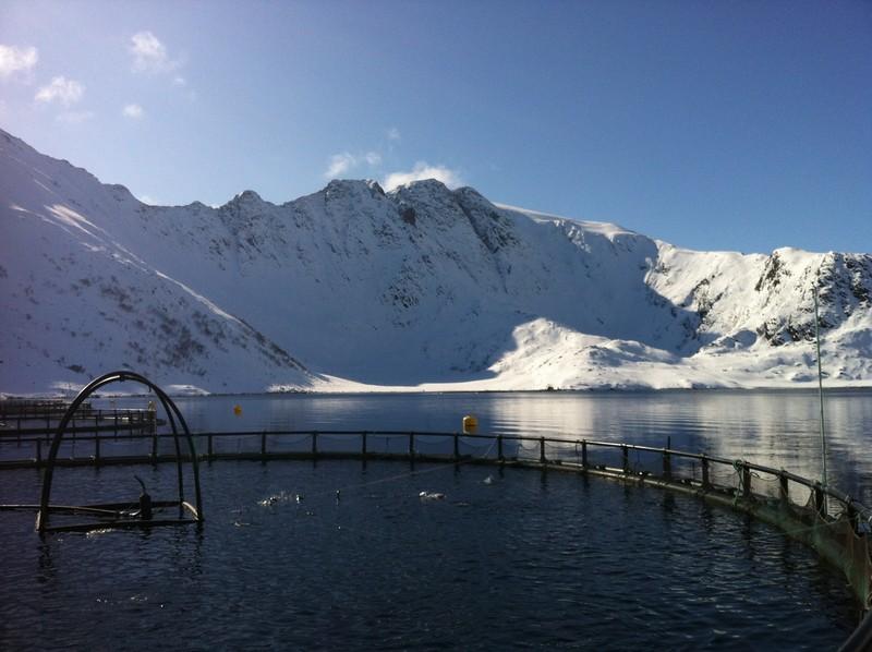 Forsøksplan 2015-2020 Arctic Salmon Research Center