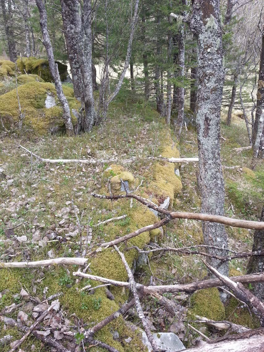 6 MAY 23, 2017 Bilde 4: Nede ved naustet er det rester av en drøy meter bred vei som er fullgod