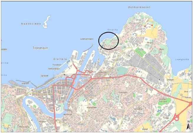 Side 3 Overordnede føringer Bystyret i Trondheim kommune vedtok i 2007 rapporten Høyhus i Trondheim.