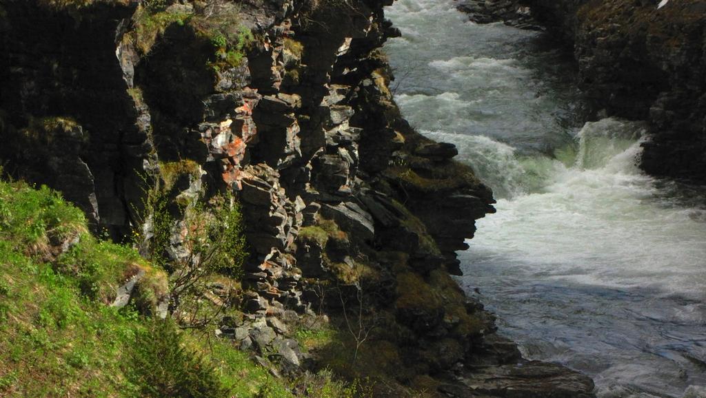 Figur 10. Øvre berg i Salvasskardelvas kløft, med blant annet kalkmessinglav (oransje). Foto: Geir Arnesen. 6.4.