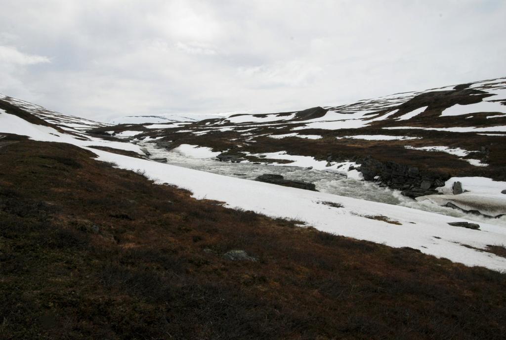 Kraftutbygging i øvre deler av Salvasskarelva, Bardu Biologiske utredninger Ecofact rapport 205 Figur 3. Området hvor inntak i Salvasskardelva planlegges på ca kote 630.