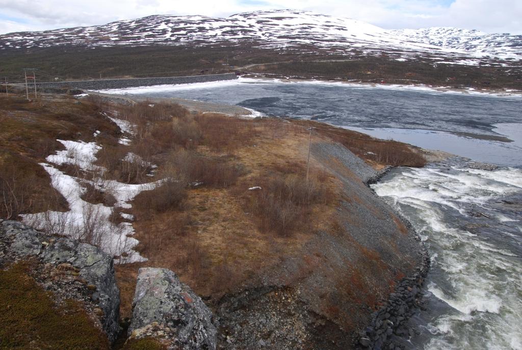 Området hvor kraftstasjonen planlegges er et småkupert landskap med moderat baserike koller og små myrsig rett ovenfor høyeste regulerte vannstand i Altevatnet.