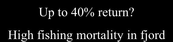 Up to 40% return?