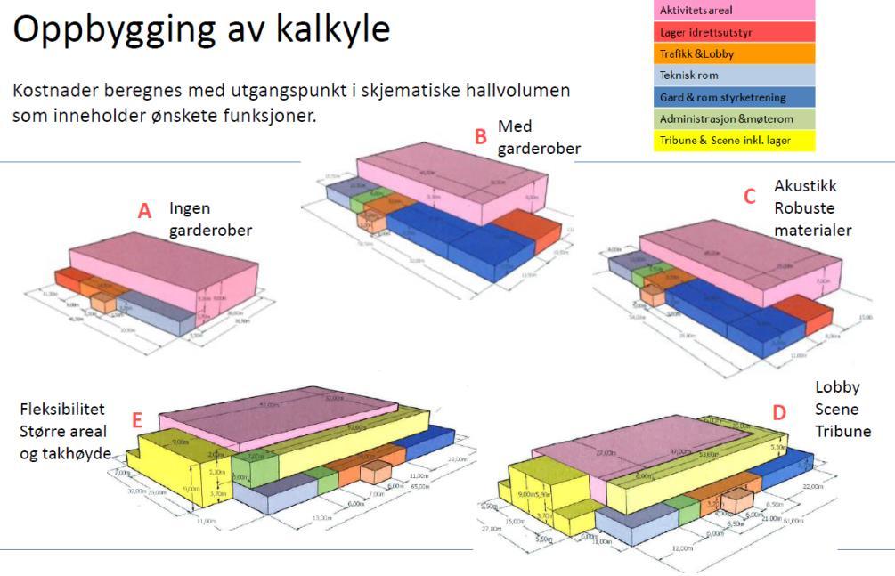 1. Sel kommune bygger idrettshall med evt. tilleggsareal. 2. Sel kommune bygger flerbrukshall, dvs. idrettshall med plass til musikk- og kulturskolen og evt. annet tilleggsareal som kan vurderes. 3.