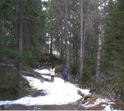 Bildet til venstre er tatt under befaring den 8.5.2012. Hytta skimtes mellom trærne i bakgrunnen 1.