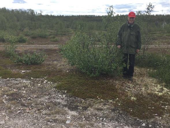 Art Bosetning-aktivitetsområde Askeladden ID 56841 Gnr /Gnr 18/1