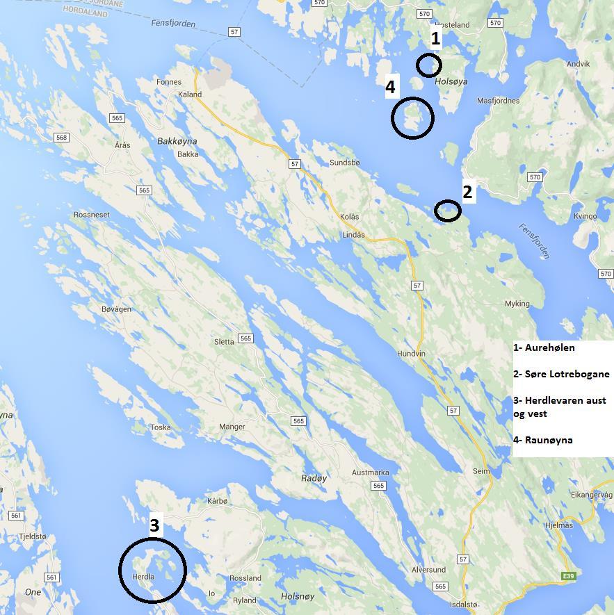 Figur 3: Studieområdet for problemstilling 1. Dei avmerka områda er stader der rusene har vært.