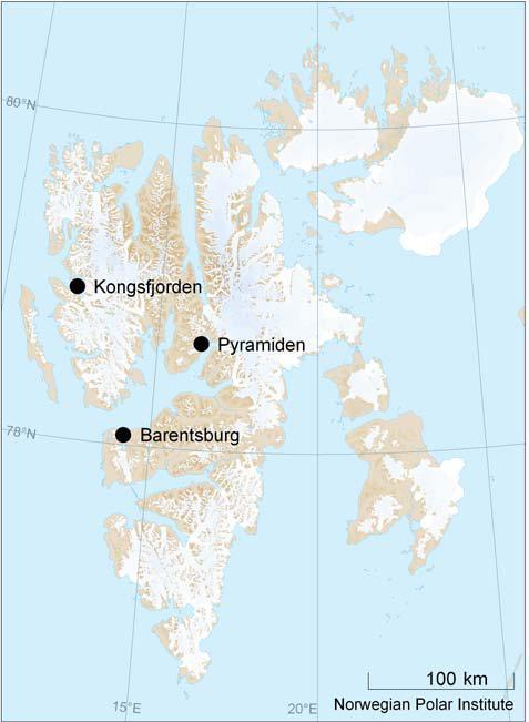 En større og grundigere rapport av dette prosjektet er publisert som kortrapport 14-2009 fra Norsk Polarinstitutt med tittel Contaminants in black-legged kittiwake eggs from Kongsfjorden, Barentsburg