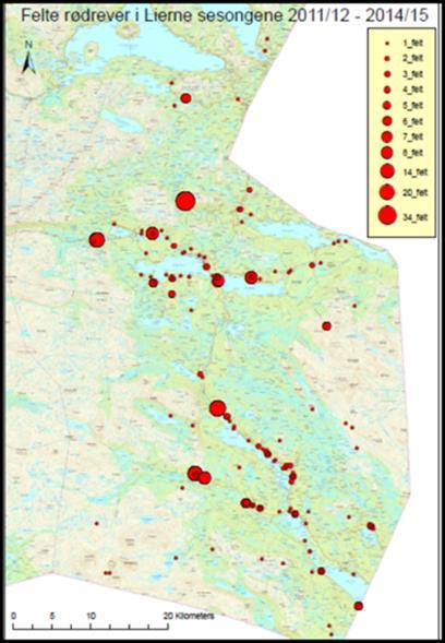 Av disse kartfremstillingene ser man at uttaket av rødrev i Lierne i all hovedsak har foregått i lavereliggende deler av kommunen (skogsterreng), og at det er relativt god spredning innenfor de to