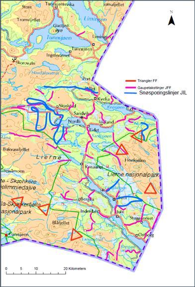 I Lierne har den lokal jeger- og fiskeforeningen over flere vintre drevet gaupesporing (primært i skogsterreng). Dette som en del av det nasjonale overvåkningsprogrammet for store rovdyr.