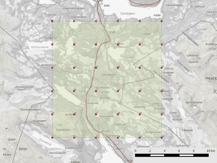 Figur 4: Studiedesign på rødrevtetthetspilot gjennomført i Lierne i 2016. Grønn firkant er studieområdet på 225km², hvor de røde punktene angir lokaliseringen av totalt 36 viltkamera. 2. Hva vet vi om uttaket av små generalistpredatorer i Lierne før og nå?