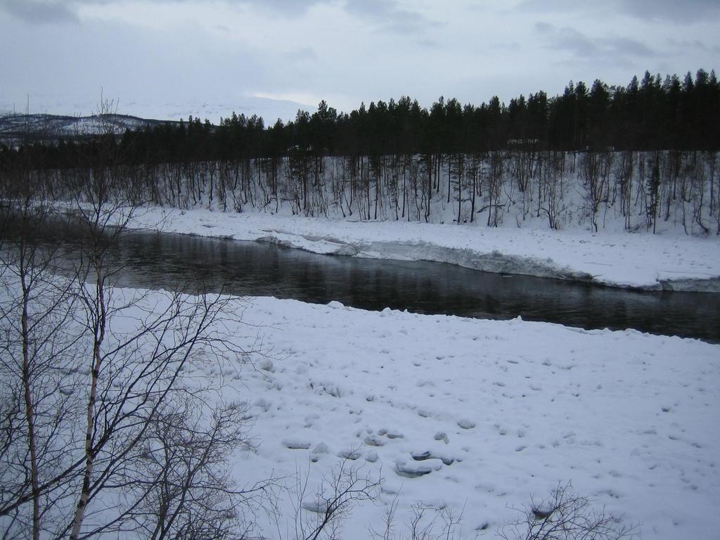 4.2.2007 Elva har etablert løp mellom