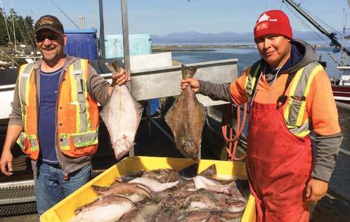 «DEN ENESTE FLUKTEN FRA LIVETS ELENDIGHET ER MUSIKK OG KATTER» ALBERT SCHWEITZER DOS FRA COLORADO 3 ET RIKT UTVALG AV FERKST KJØTT ACANA INNEHOLDER EN VARIASJON FERSKE KJØTTSLAG, FJÆRKRE ELLER FISK