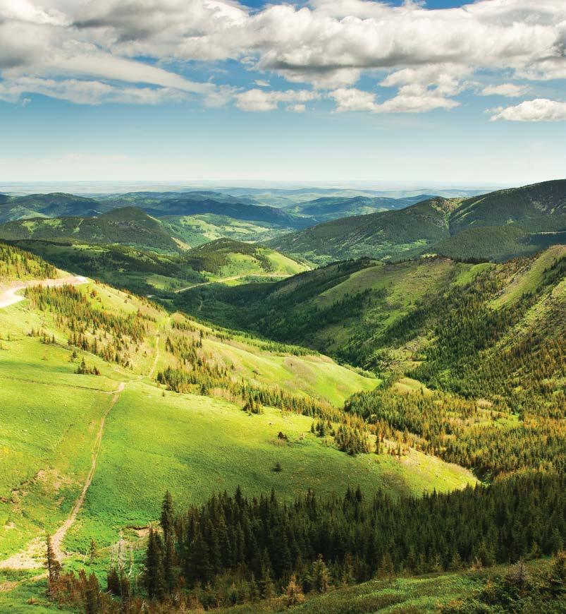 CANADA S STORE OG FRUKTBARE LAND, VÅR KILDE TIL INSPIRASJON OG FERSKE REGIONALE. SUNNESTE MATEN ER HJEMMELAGET Vi er like opptatt av våre fôr som vi er av våre katter.