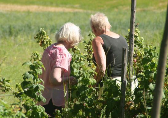 Livsglede for eldre, Eidsvoll Eidsvoll frivilligsentral og Livsglede for Eldre, Eidsvoll har fast aktivitet på Vilberg Helsetun og Vilberg bosenter to dager i uka.