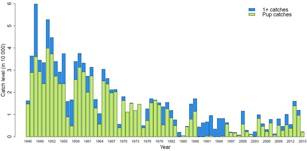 Fangsthistorikken for perioden 1946-2015 er vist i figurene 1-3. Det har ikke vært russisk fangst i Vesterisen siden 1994. Fangstnivået har i de seinere år ligget under anbefalt likevektsnivå.