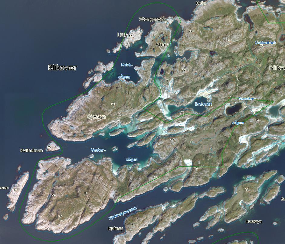 Ecofact rapport 137 Side 6 Det har i løpet av prosjektet blitt tatt enkelte personlige kontakter, bl.a. med ansatte i SNO og Bliksvær velforening.