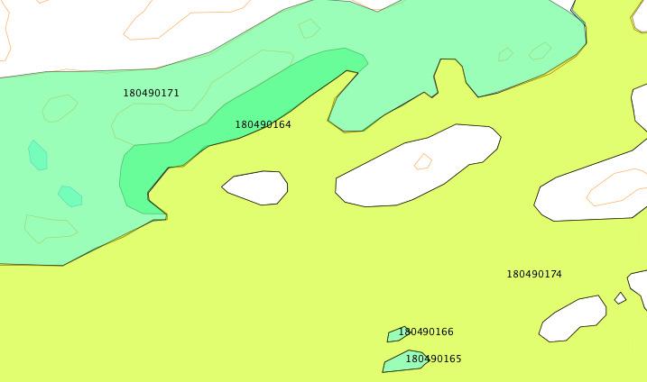 feltsjekk: Polygon Ingve Birkeland, 7. mai og 14. juli Beliggenhet/avgrensing, naturgrunnlag: Lokaliteten ligger på sørsiden av Gjessøya i Bliksvær naturreservat.