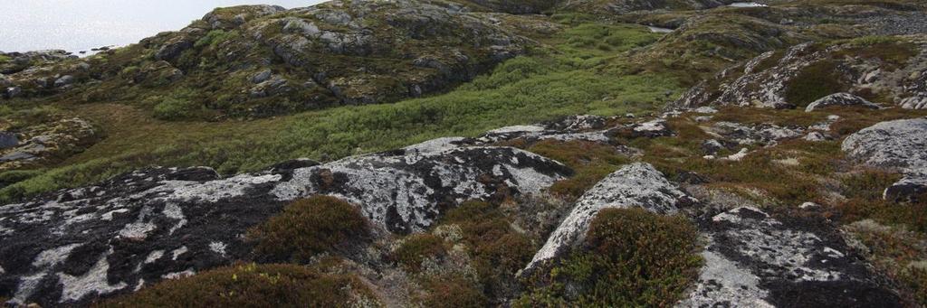 Midt i bildet ser man dalen som er kledd med bjørketrær og det lille tjernet som ligger på sørsiden av bergknausen.