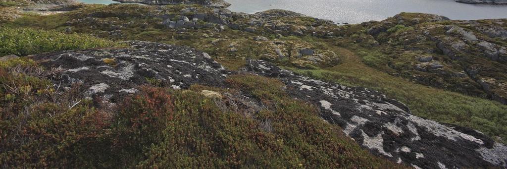 Området er viktig som beite- og jaktområde (furasjeringsområde) for sjøfugl om sommeren, men trolig også hele året.