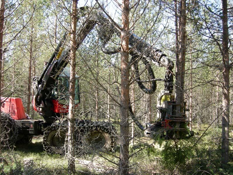 tynningshogst når de ble for store (høye). Lassbærerens produktivitet var stort sett 8-10 fm 3 /time, avhengig av transportlengde. Bilde 1. Tynning av furuskog med Valmet 911 med Bräcke C16.a AFH.