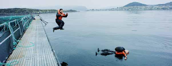 Work Suits 100% Watertight work suit for the Fish Farm industry SeaFish is a new 100% waterproof work suit (dry suit) developed for, and in close cooperation with, the fish farming industry.