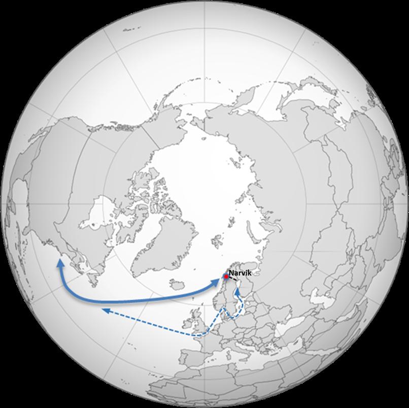 Service North Sweden and Finland via Narvik to UK and/or NAEC?