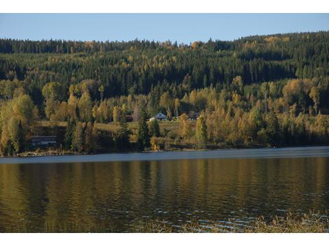 Konkurransedyktige byer og steder Foto: Gaute Moen, sør i fylket Her finner du informasjon om konkrete prosjekter under programområdet konkurransedyktige byer og steder.