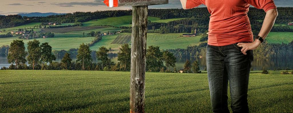 bedrift, sikring av rettigheter, utvikling av