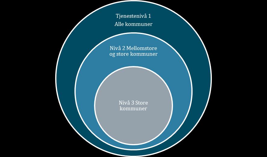 Oppgavedifferensiering Videregående