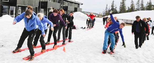 MANGEKAMP Passer for: 4-120 personer For større grupper ta kontakt, vi skreddersyr etter behov. Varighet: 2 timer Sammensveis gruppen med 5 spennende oppgaver.