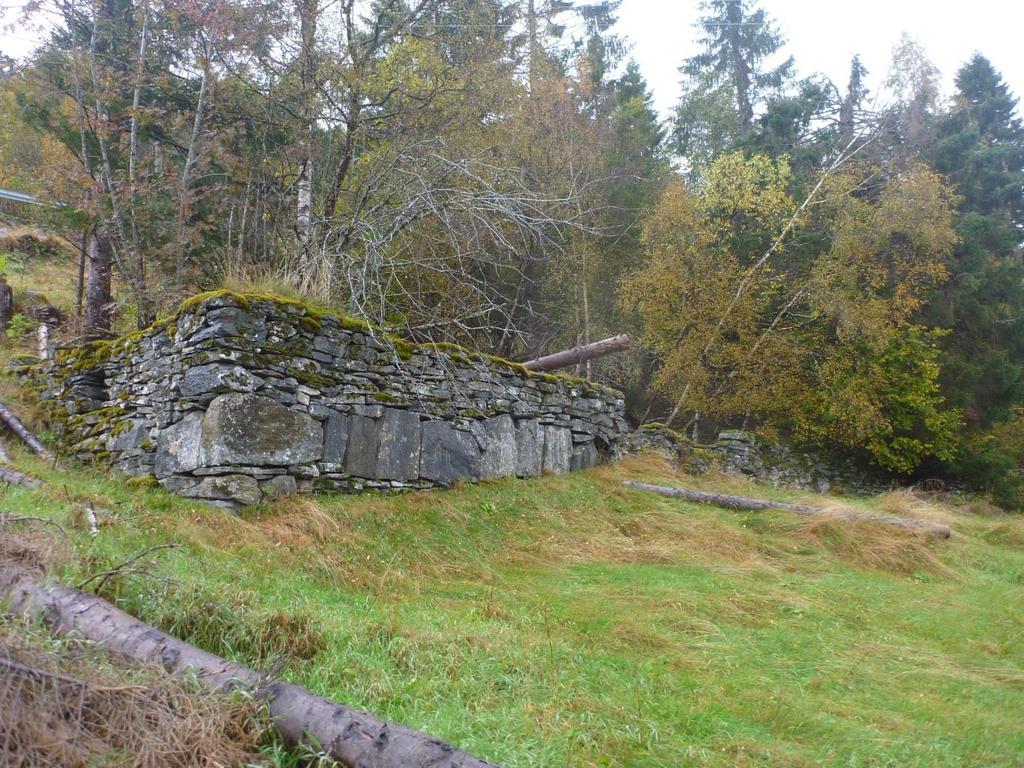 16 Figur21: Steinmur med tilhørande steingard i Torvika aust sett mot nord. I aust blei det registrert ein større steinmur med tilhørande steingard. Disse ligger like ved/på planområdets grense.
